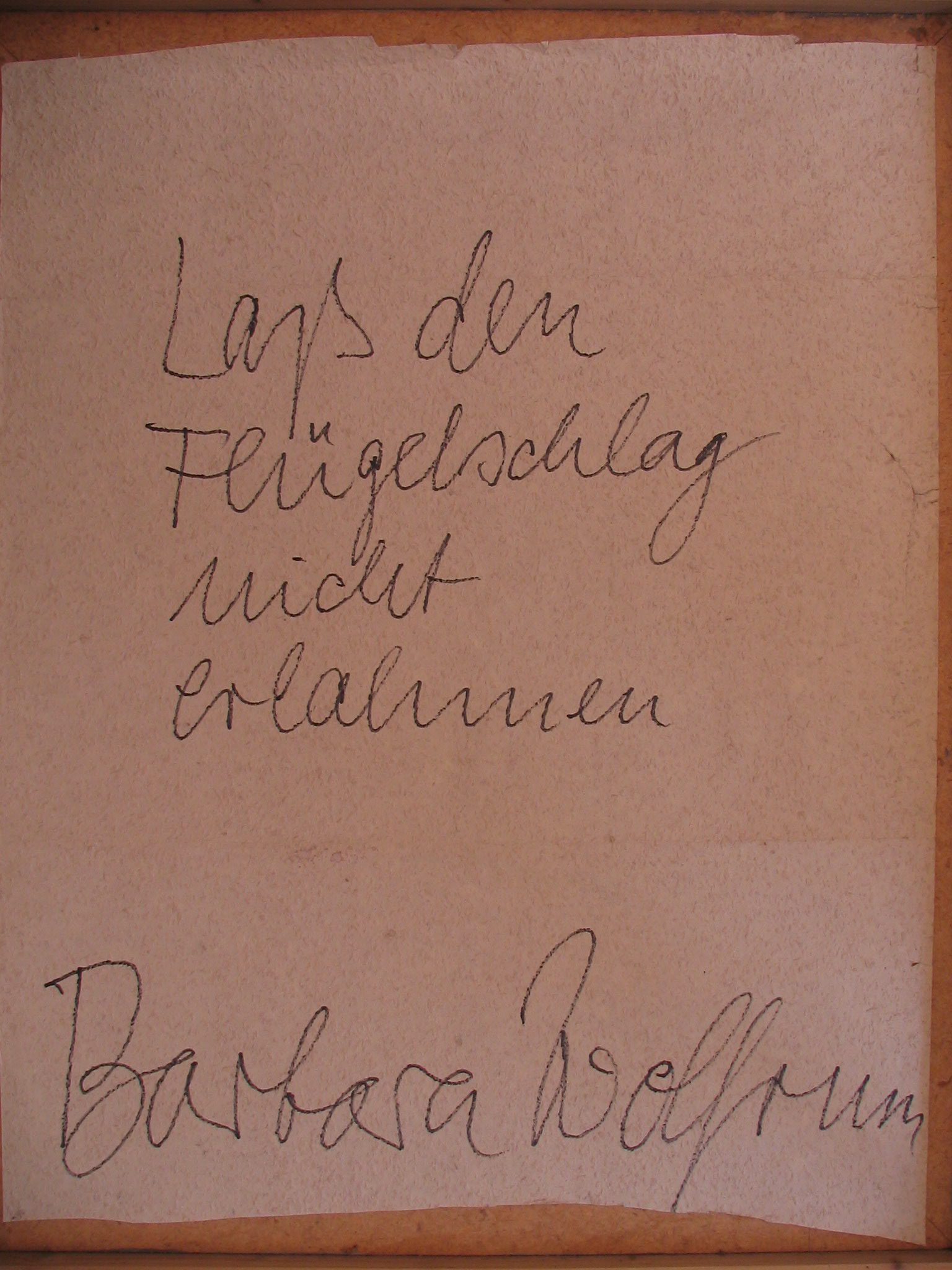 Bild „Männerportrait“ (Barbara Wolfrum) – Bild 3